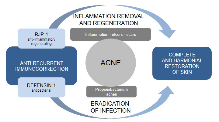 acne_scheme_eng.jpg